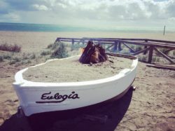 Chiringuito Eulogia Torreguadiaro