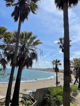 Casares Bay, outside la sal